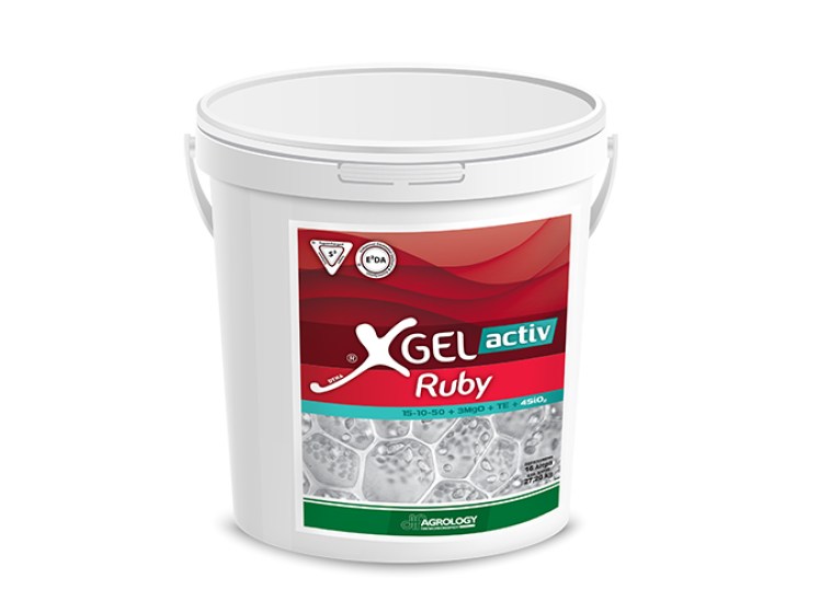 Λίπασμα σε GEL  XGEL ACTIV RUBY 15-10-50+3MGO+4SiO2 3LT