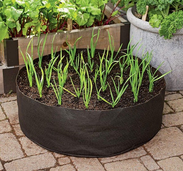 garlic-grow-bag-xl